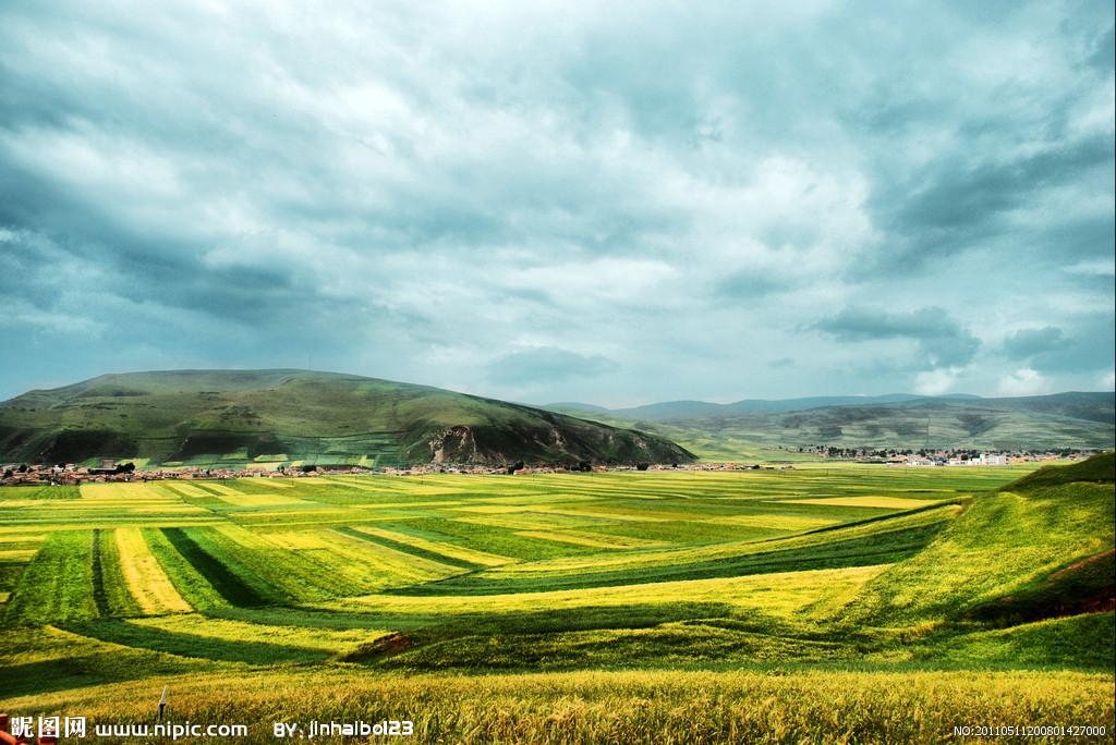 青海之旅,趣事友情闪耀高原日常