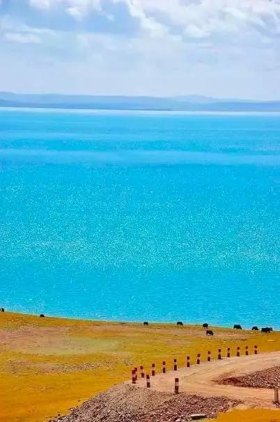 青海之旅,趣事友情闪耀高原日常