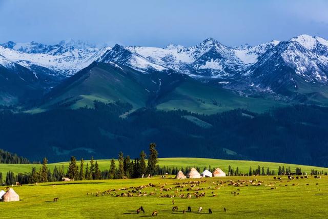 胡杨之旅，新疆的即兴探索之旅